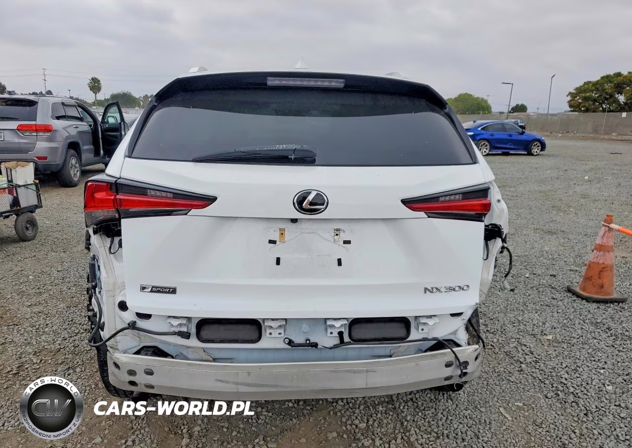2021 Lexus Nx 300 F Sport VIN:JTJSARBZ9M2180253 - 6