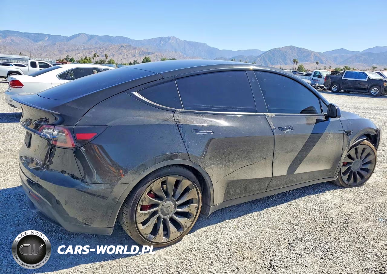 2022 Tesla Model Y VIN:7SAYGDEF9NF336843 - 3