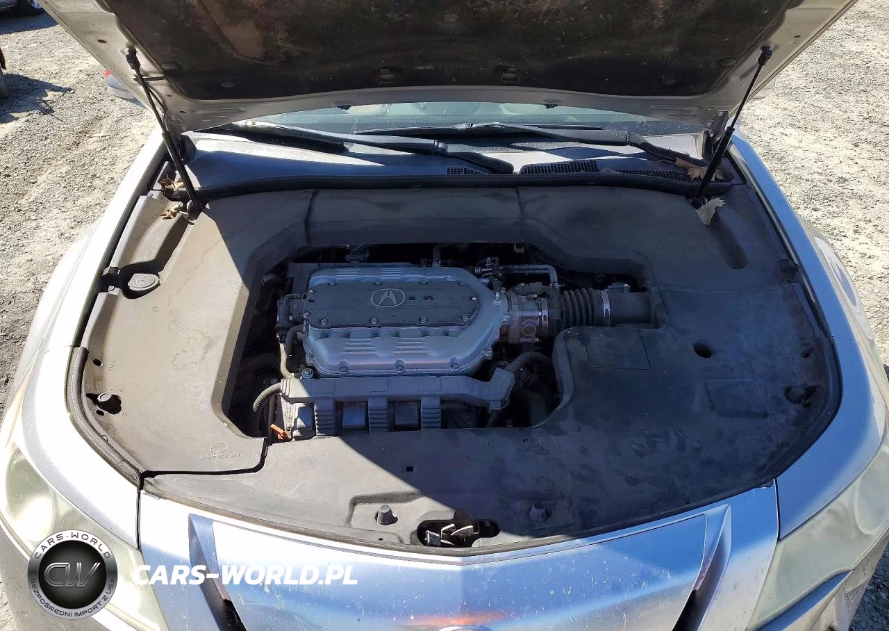 2011 Acura Tl VIN:19UUA8F55BA007542 - 11