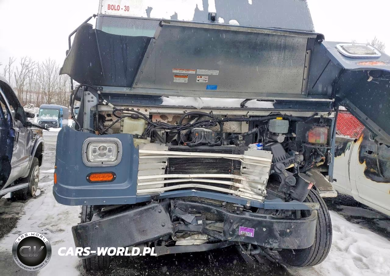 2020 Ford Commercial Chassis Delivery Truck VIN:1F65F5KN1L0A02003 - 9