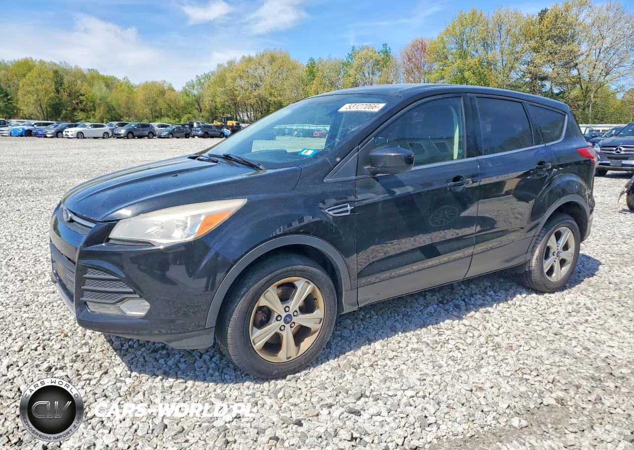 2014 Ford Escape Se