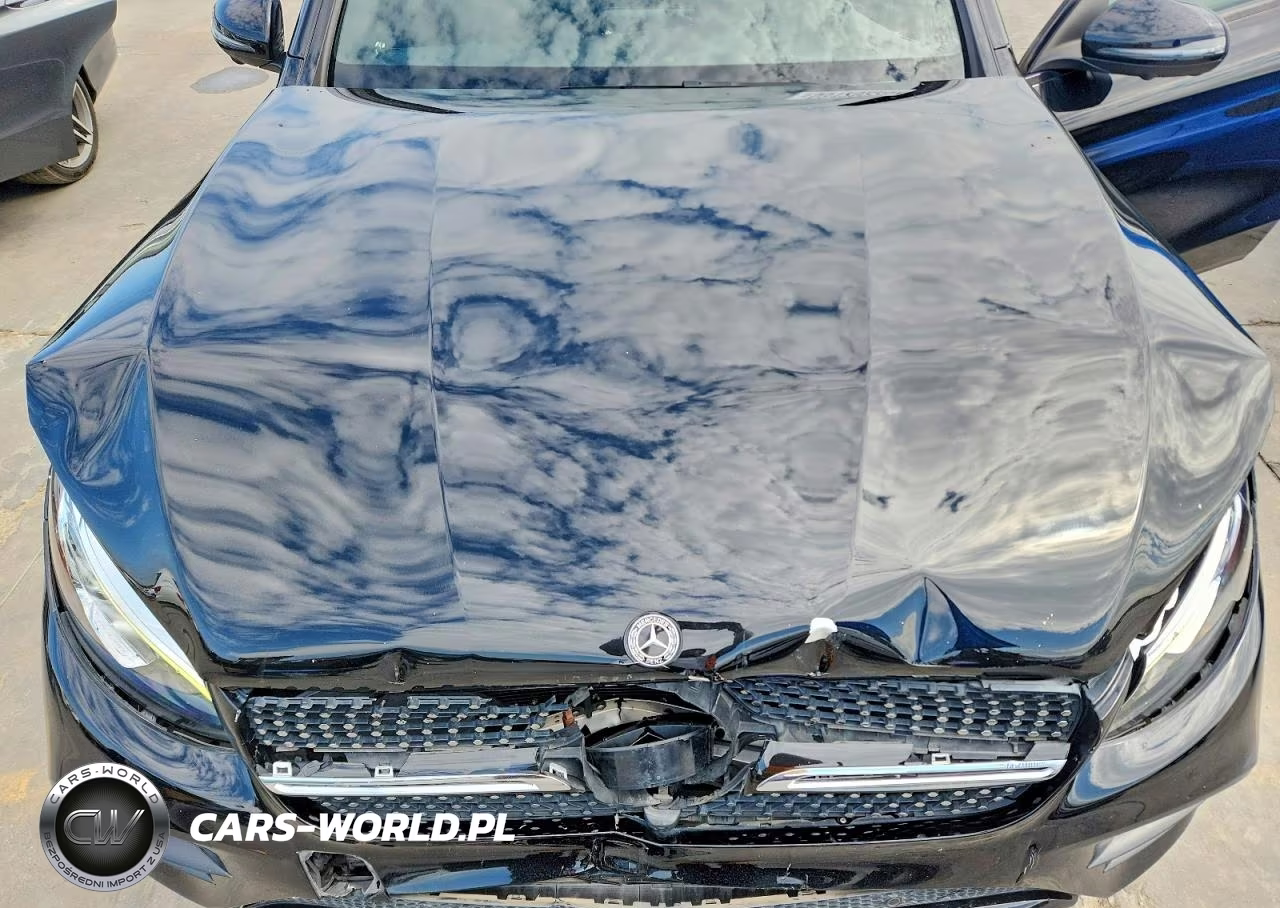 2019 Mercedes-Benz Glc Coupe 300 4Matic VIN:WDC0J4KB4KF495395 - 12