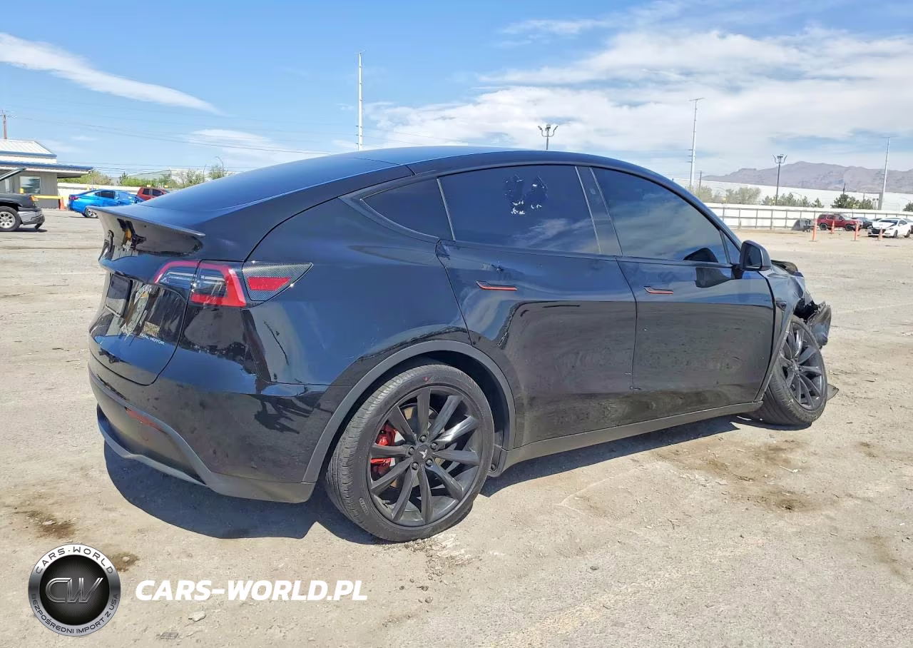 2024 Tesla Model Y VIN:7SAYGAEE3RF991107 - 3