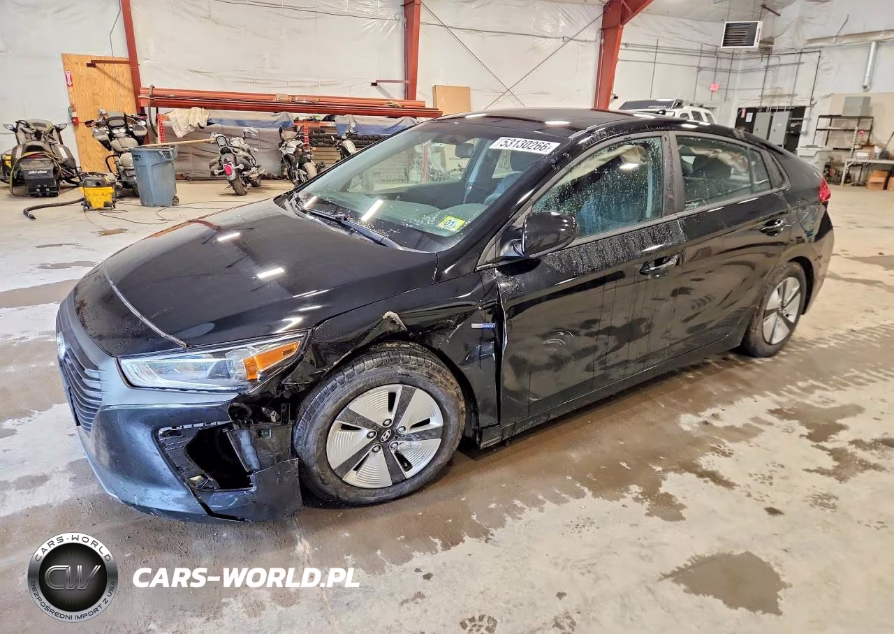 2019 Hyundai Ioniq Blue – zdjęcie 1 z 12