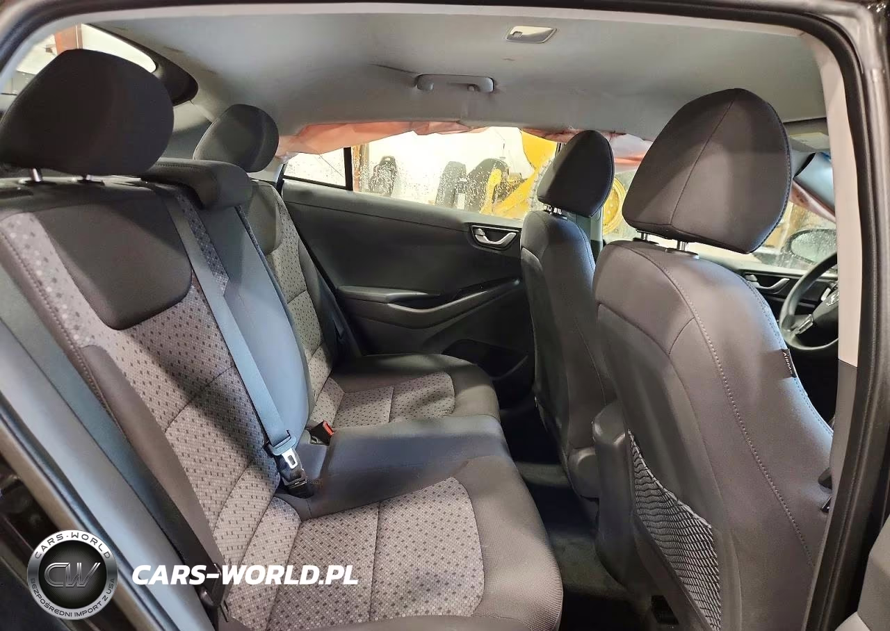2019 Hyundai Ioniq Blue VIN:KMHC65LC8KU121414 - 10