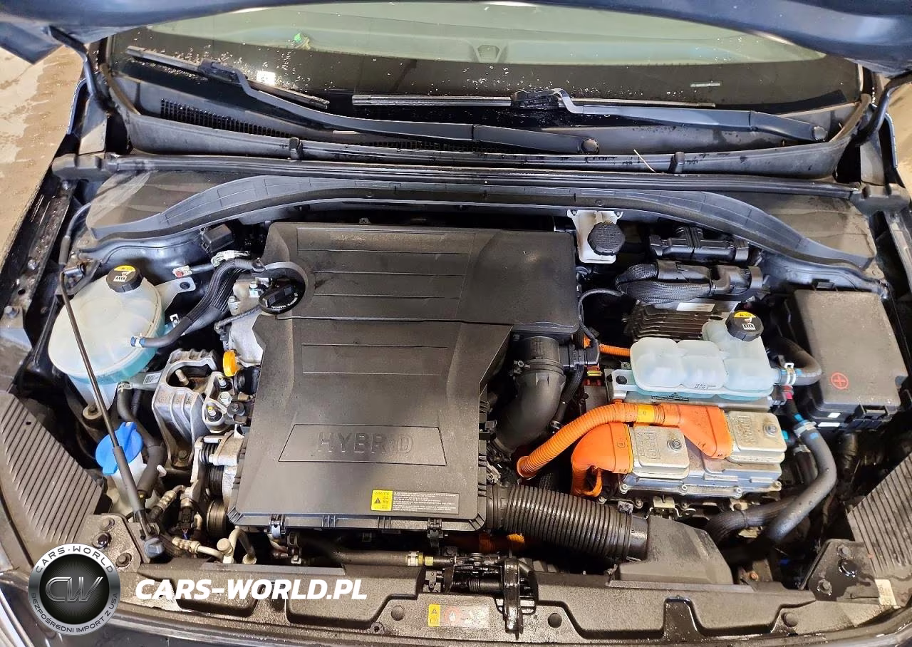 2019 Hyundai Ioniq Blue VIN:KMHC65LC8KU121414 - 11