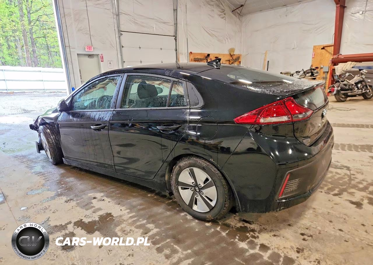 2019 Hyundai Ioniq Blue VIN:KMHC65LC8KU121414 - 2