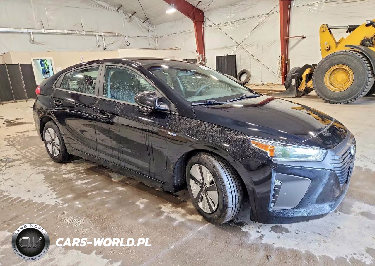2019 Hyundai Ioniq Blue VIN:KMHC65LC8KU121414 - 4