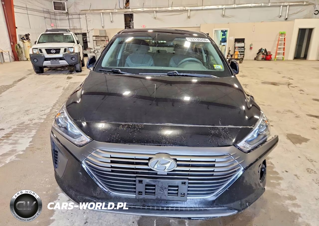 2019 Hyundai Ioniq Blue VIN:KMHC65LC8KU121414 - 5