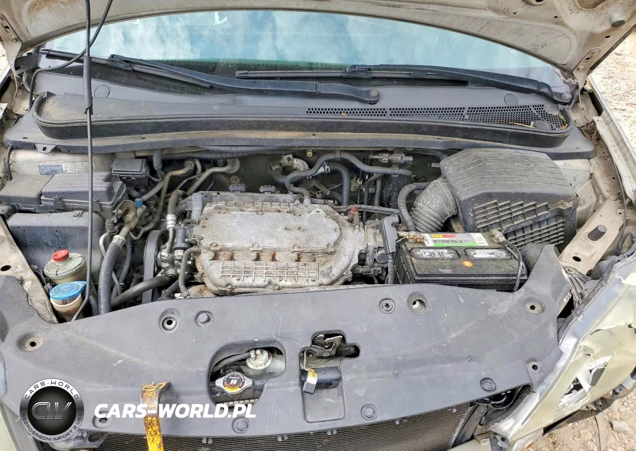2006 Honda Odyssey Exl VIN:5FNRL38766B461196 - 12