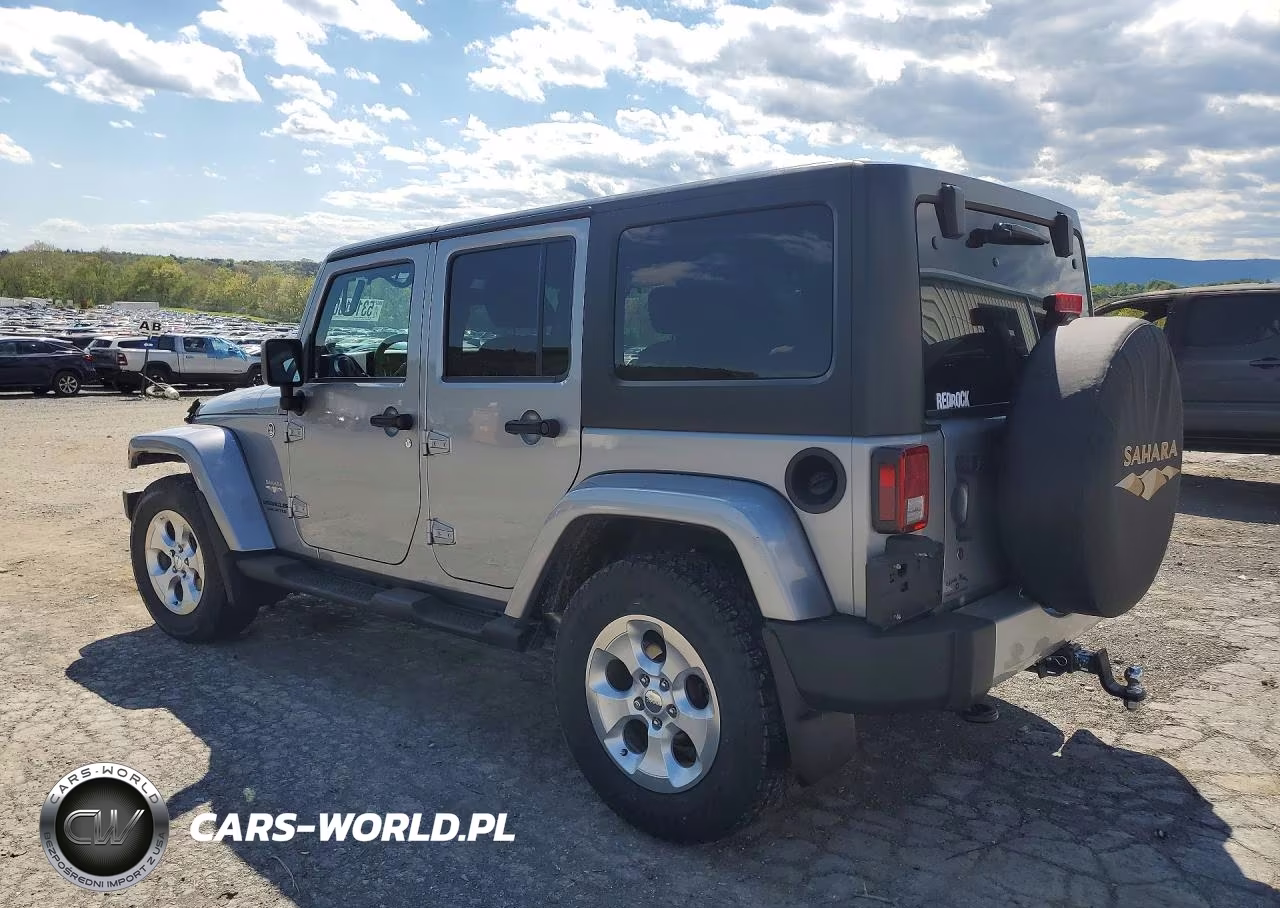 2014 Jeep Wrangler Unlimited Sahara VIN:1C4BJWEGXEL203451 - 2