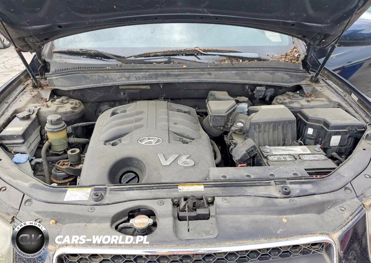 2008 Hyundai Santa Fe Se VIN:5NMSH13E98H136878 - 12
