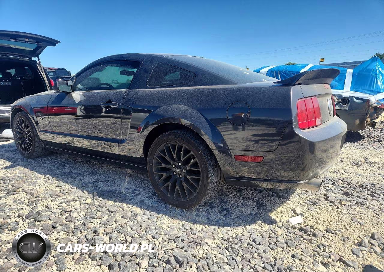 2007 Ford Mustang Gt VIN:1ZVFT82H675243793 - 2