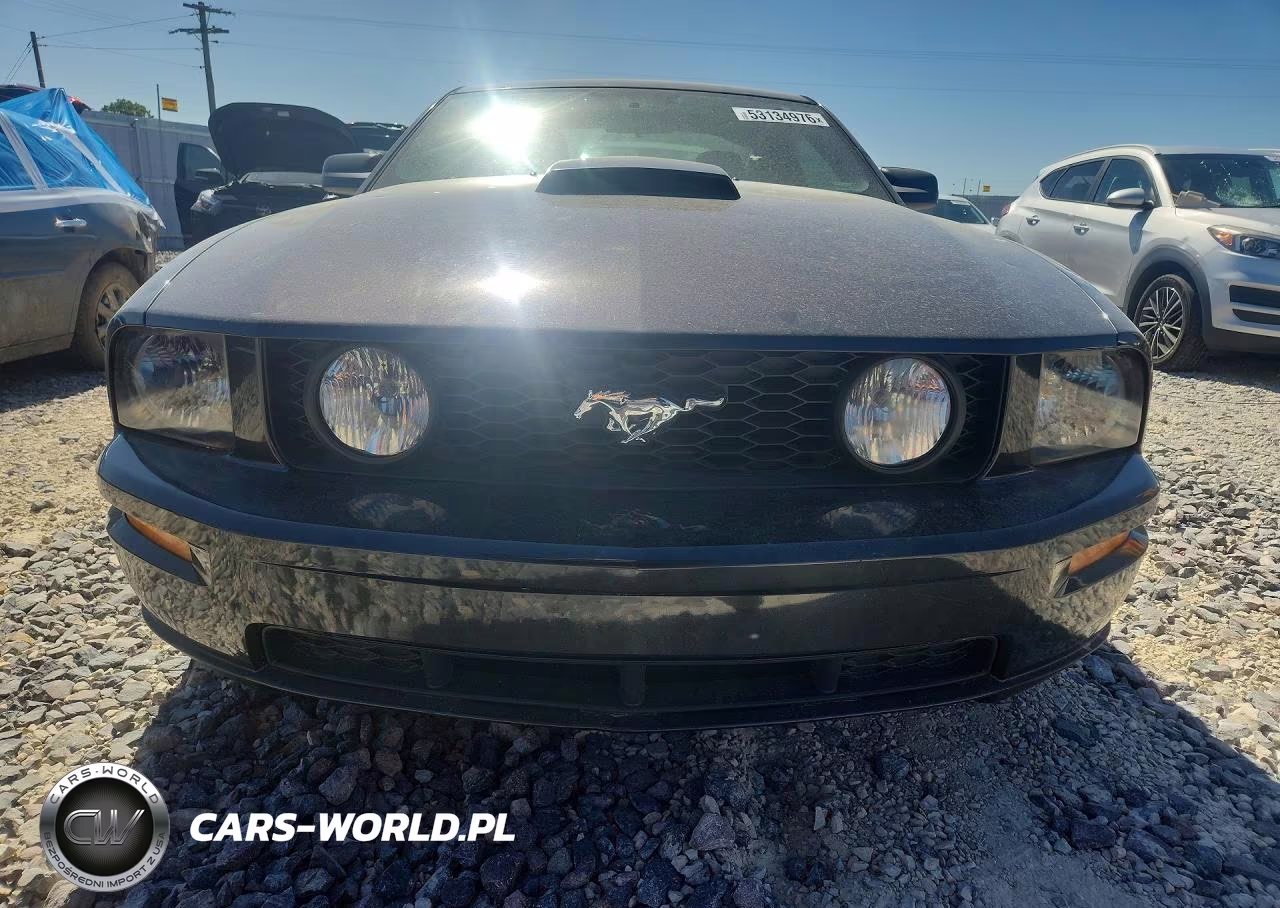 2007 Ford Mustang Gt VIN:1ZVFT82H675243793 - 5