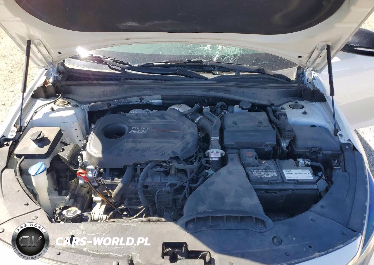2019 Kia Optima Sx VIN:5XXGW4L28KG375282 - 11