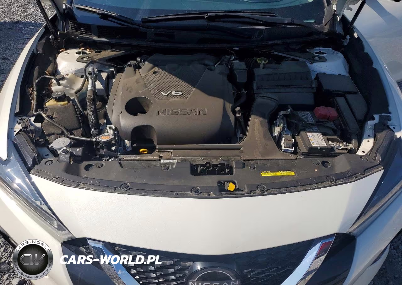 2023 Nissan Maxima Platinum VIN:1N4AA6FV4PC501267 - 11