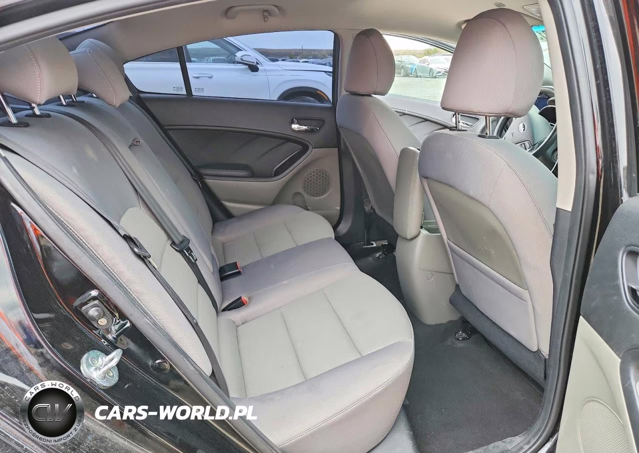 2016 Kia Forte Lx VIN:KNAFX4A66G5544593 - 10