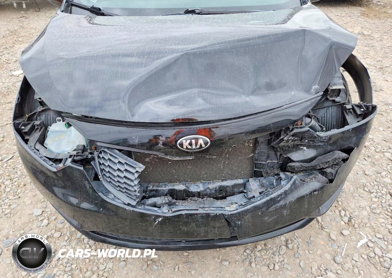 2016 Kia Forte Lx VIN:KNAFX4A66G5544593 - 11