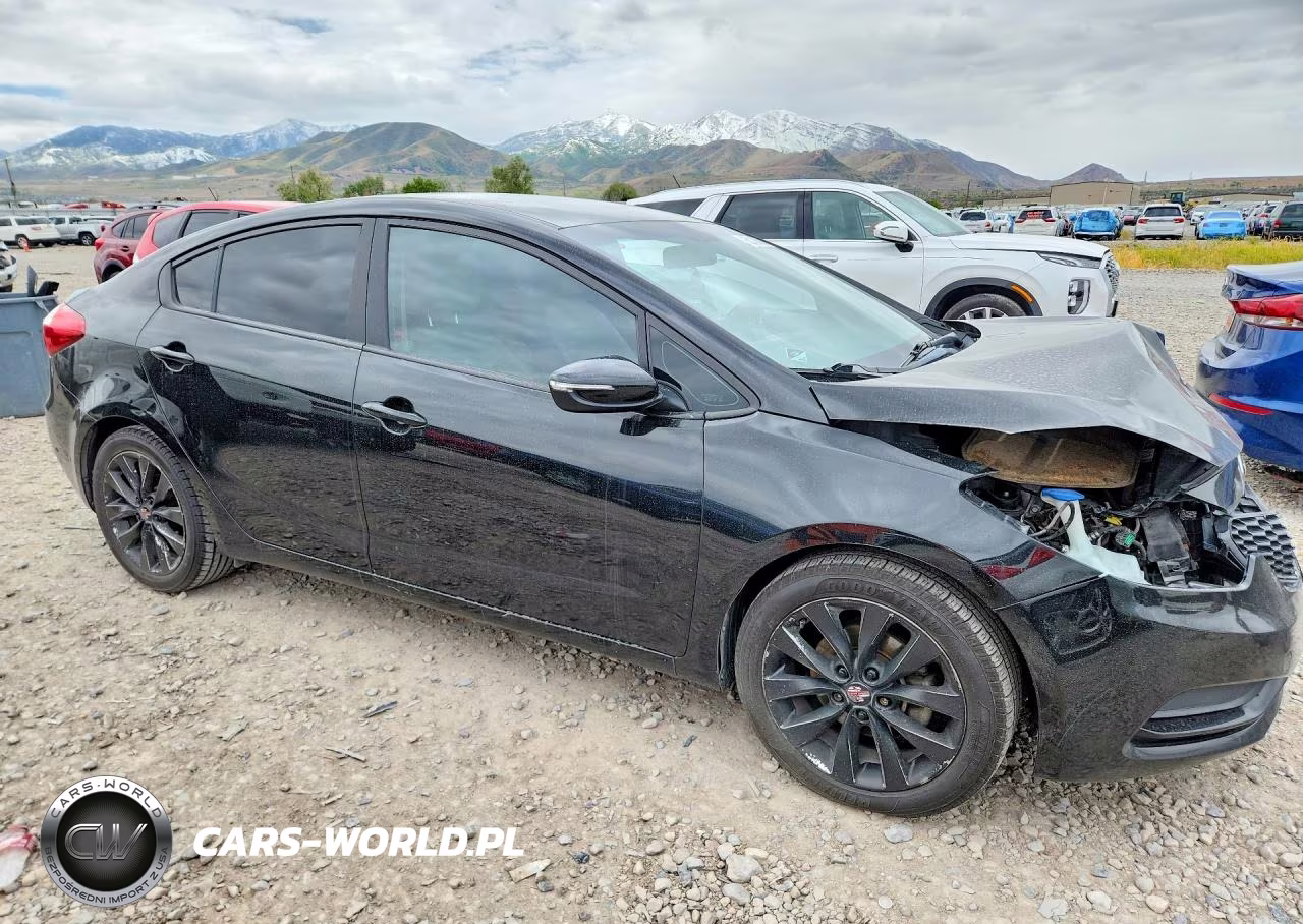 2016 Kia Forte Lx VIN:KNAFX4A66G5544593 - 4