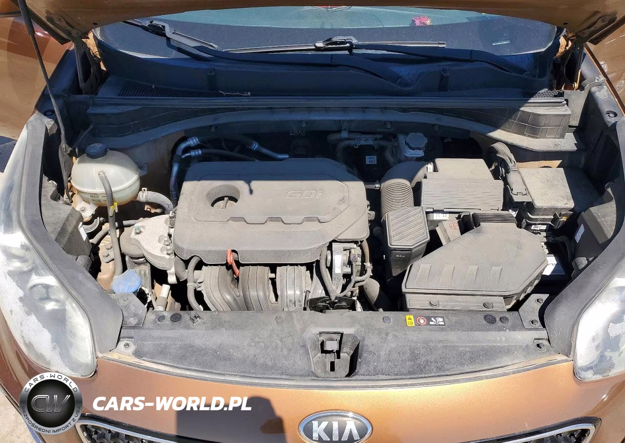 2017 Kia Sportage Lx VIN:KNDPMCAC2H7042377 - 12