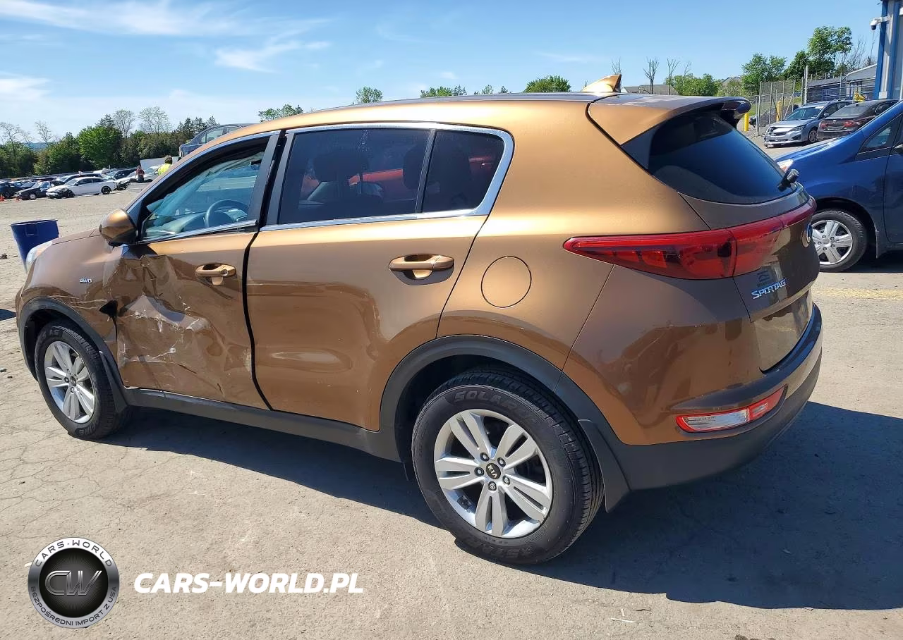 2017 Kia Sportage Lx VIN:KNDPMCAC2H7042377 - 2