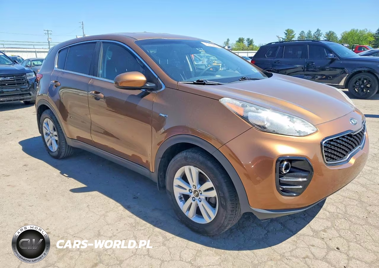 2017 Kia Sportage Lx VIN:KNDPMCAC2H7042377 - 4