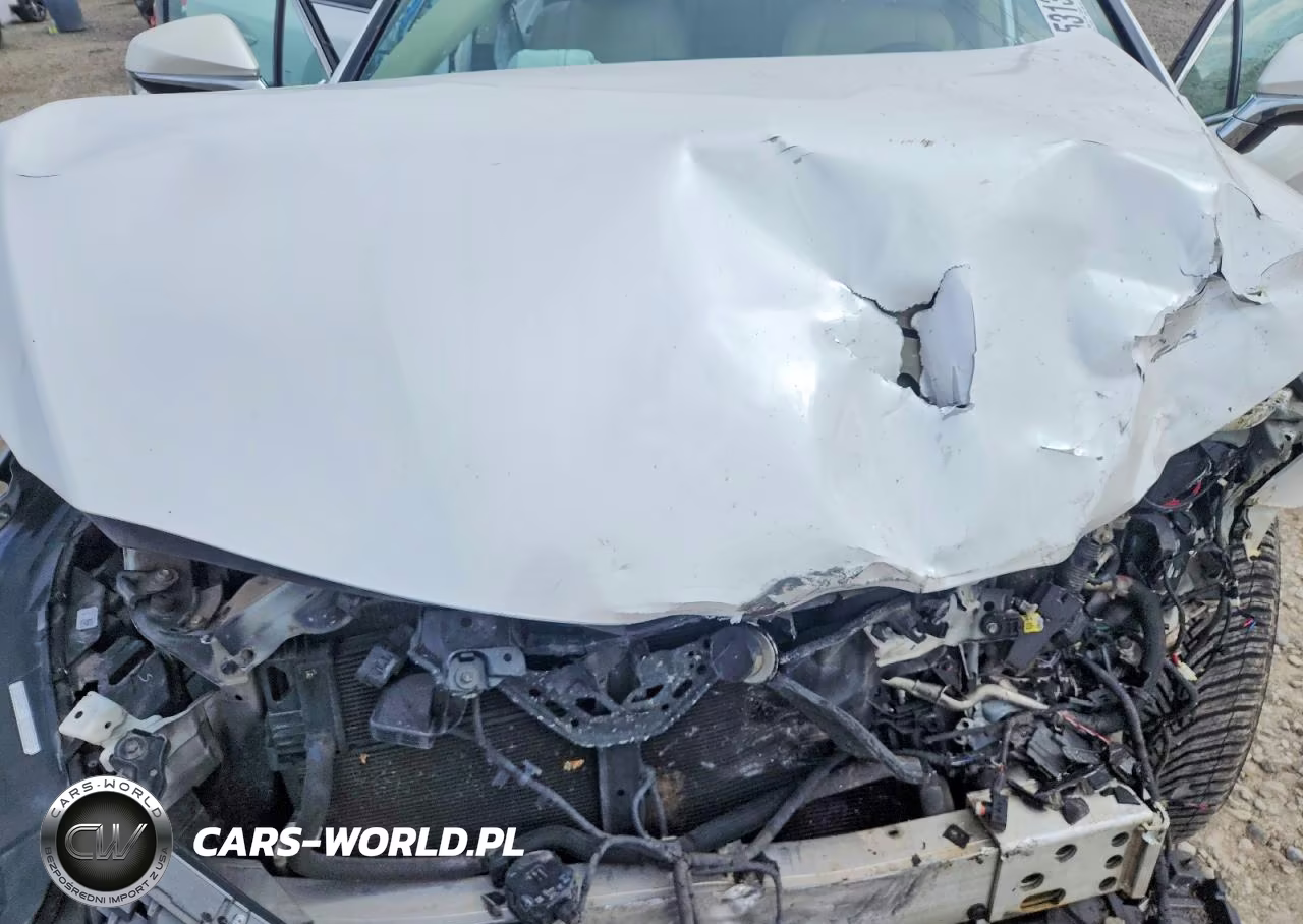 2021 Lexus Rx 450H VIN:2T2JGMDA1MC060516 - 11
