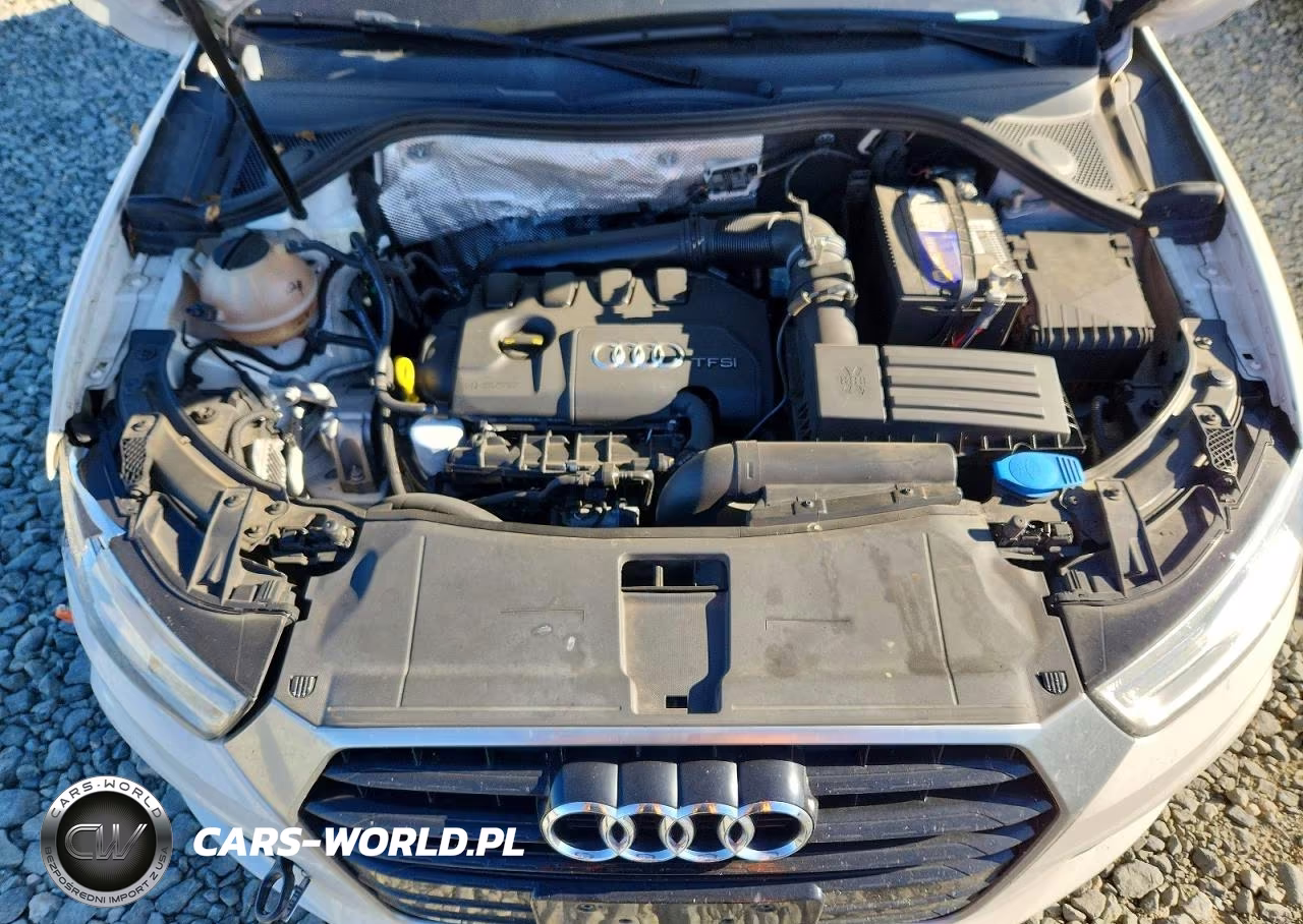 2016 Audi Q3 Premium Plus VIN:WA1BFCFS7GR024801 - 12