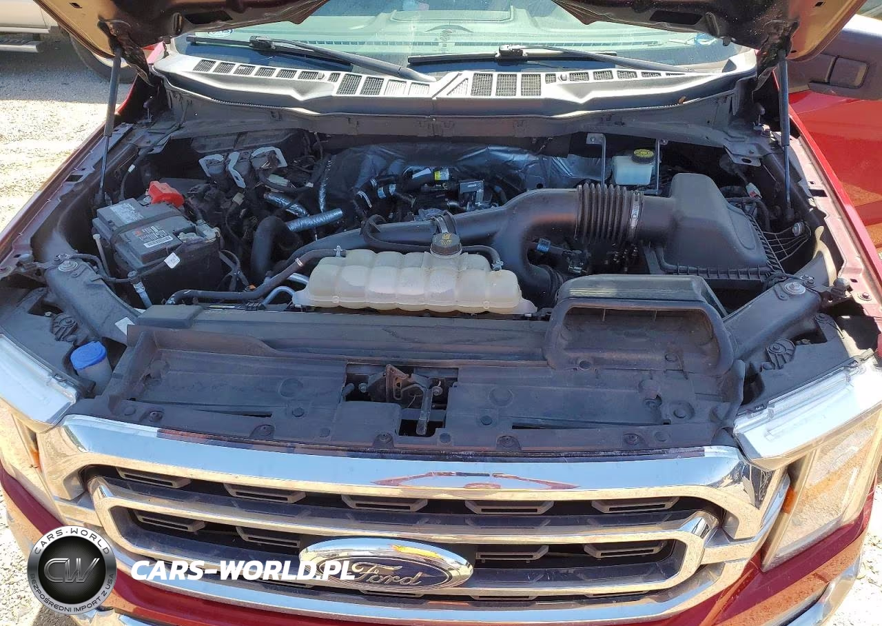 2021 Ford F150 Supercrew VIN:1FTEW1CP4MKE10863 - 11