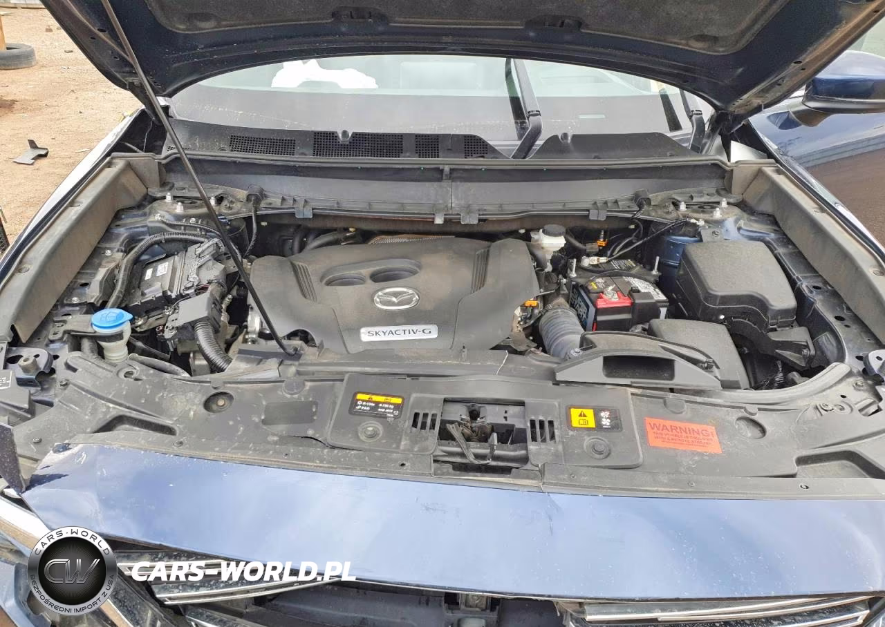 2020 Mazda Cx-9 Grand Touring VIN:JM3TCBDYXL0412437 - 11