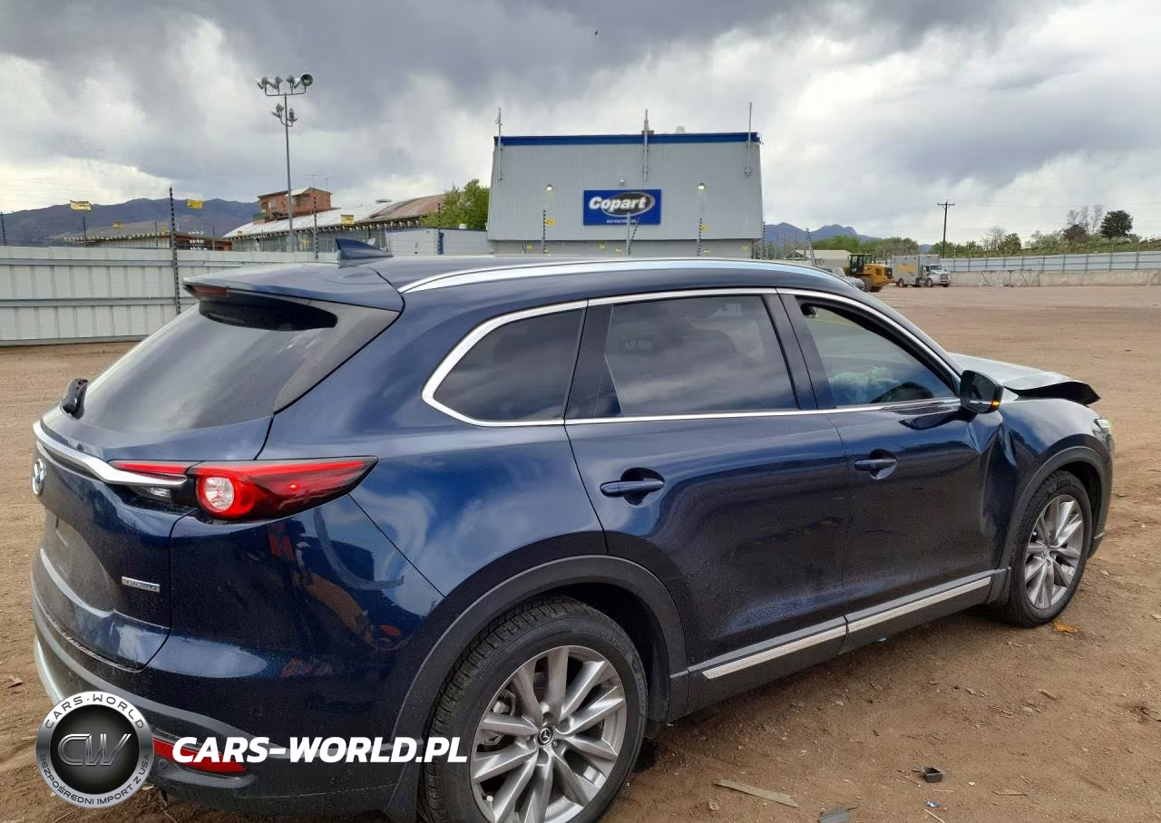 2020 Mazda Cx-9 Grand Touring VIN:JM3TCBDYXL0412437 - 3
