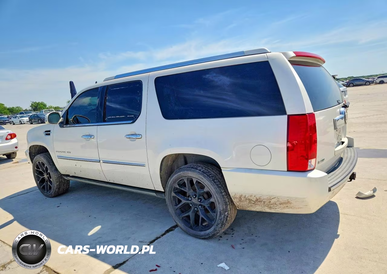 2010 Cadillac Escalade Esv Premium VIN:1GYUKJEF2AR173461 - 2