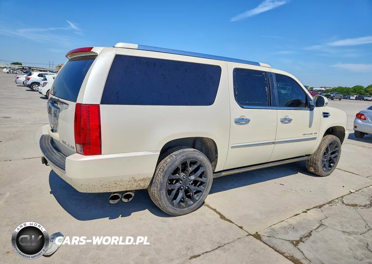 2010 Cadillac Escalade Esv Premium VIN:1GYUKJEF2AR173461 - 3