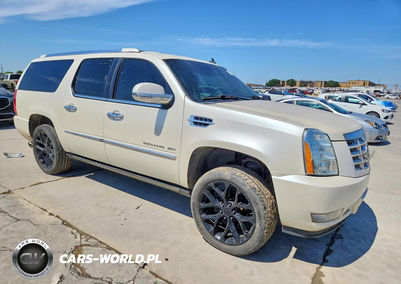 2010 Cadillac Escalade Esv Premium VIN:1GYUKJEF2AR173461 - 4
