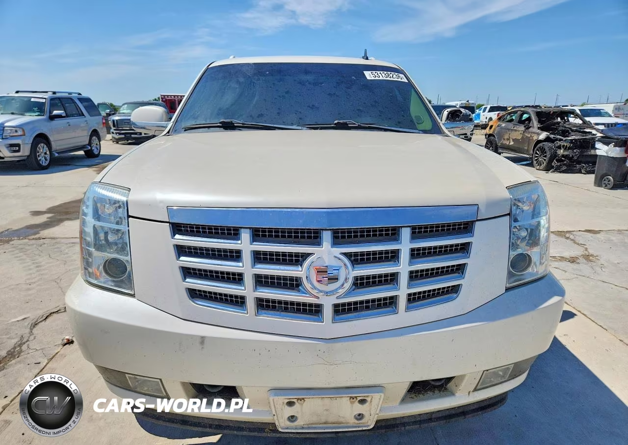 2010 Cadillac Escalade Esv Premium VIN:1GYUKJEF2AR173461 - 5