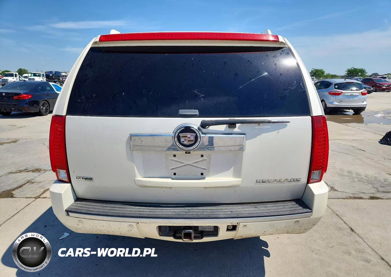 2010 Cadillac Escalade Esv Premium VIN:1GYUKJEF2AR173461 - 6