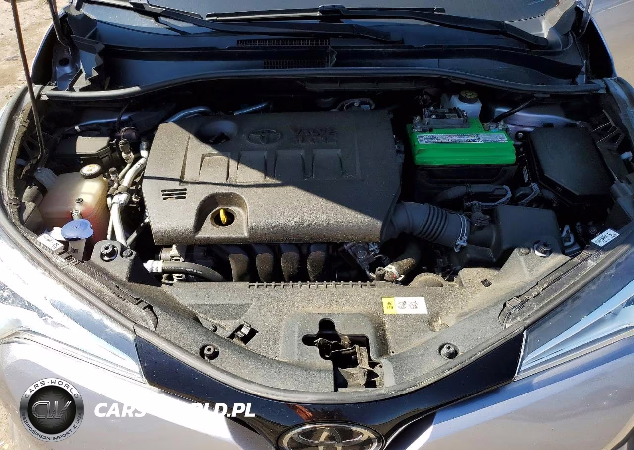 2019 Toyota C-Hr Limited VIN:NMTKHMBX1KR101324 - 12