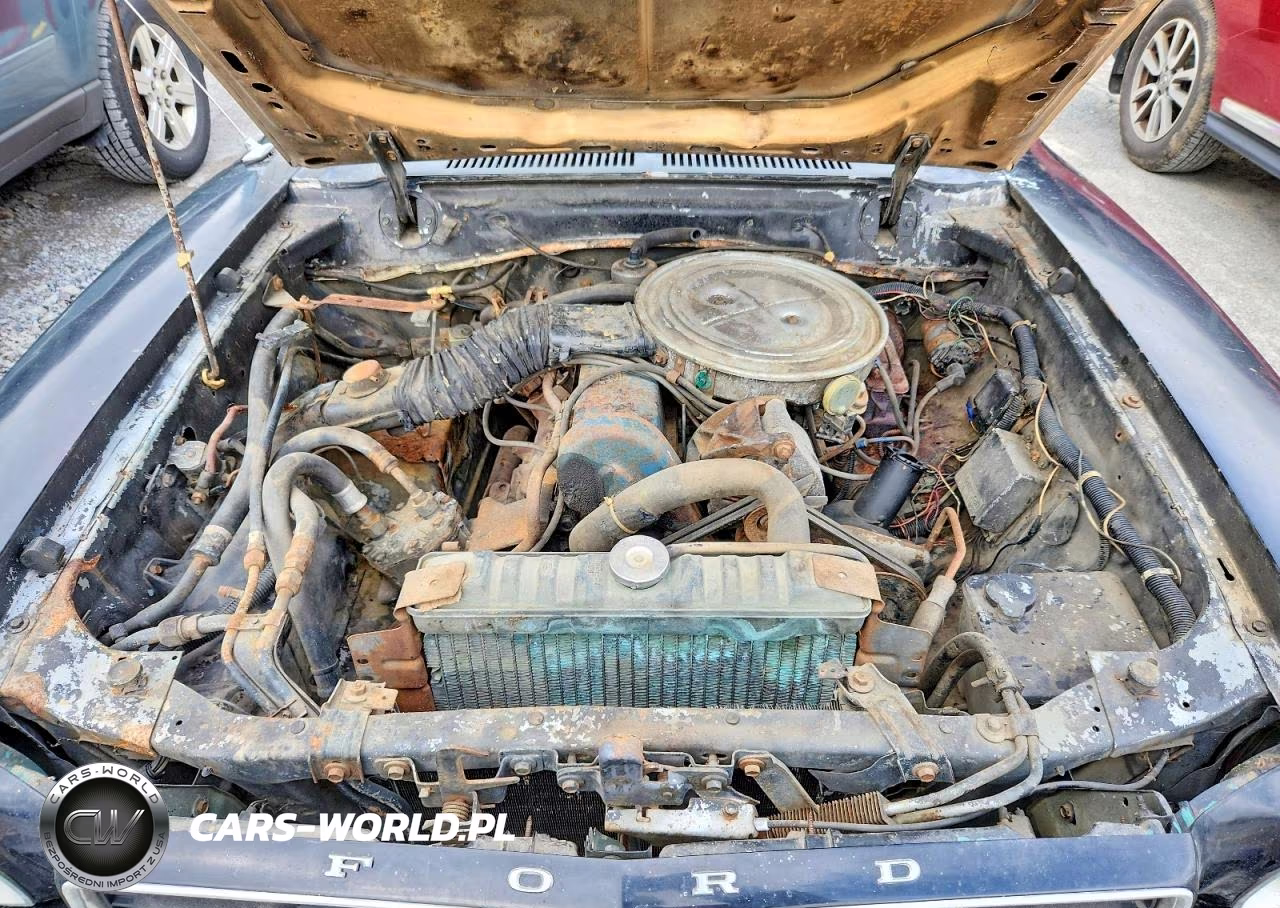 1978 Ford Mustang VIN:8F02Y260164 - 11