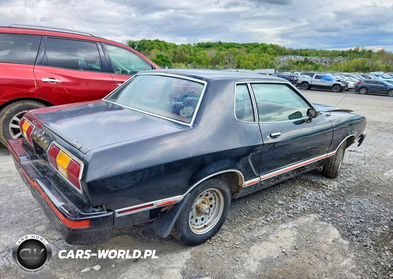 1978 Ford Mustang VIN:8F02Y260164 - 3