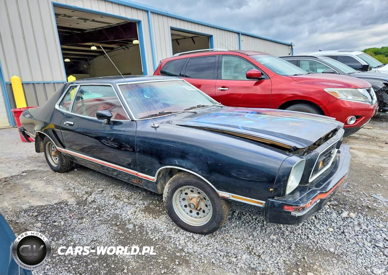 1978 Ford Mustang VIN:8F02Y260164 - 4