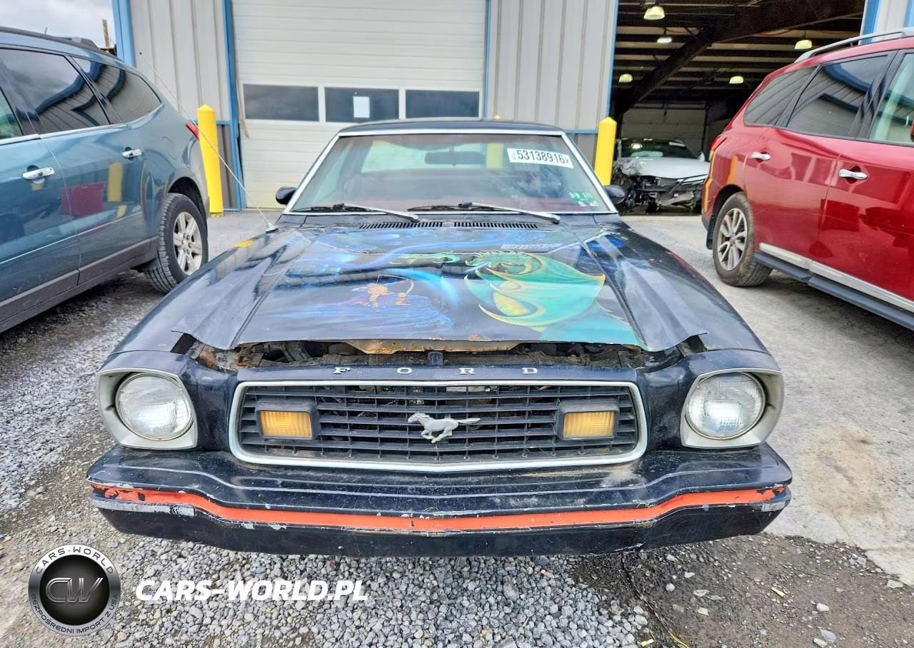 1978 Ford Mustang VIN:8F02Y260164 - 5