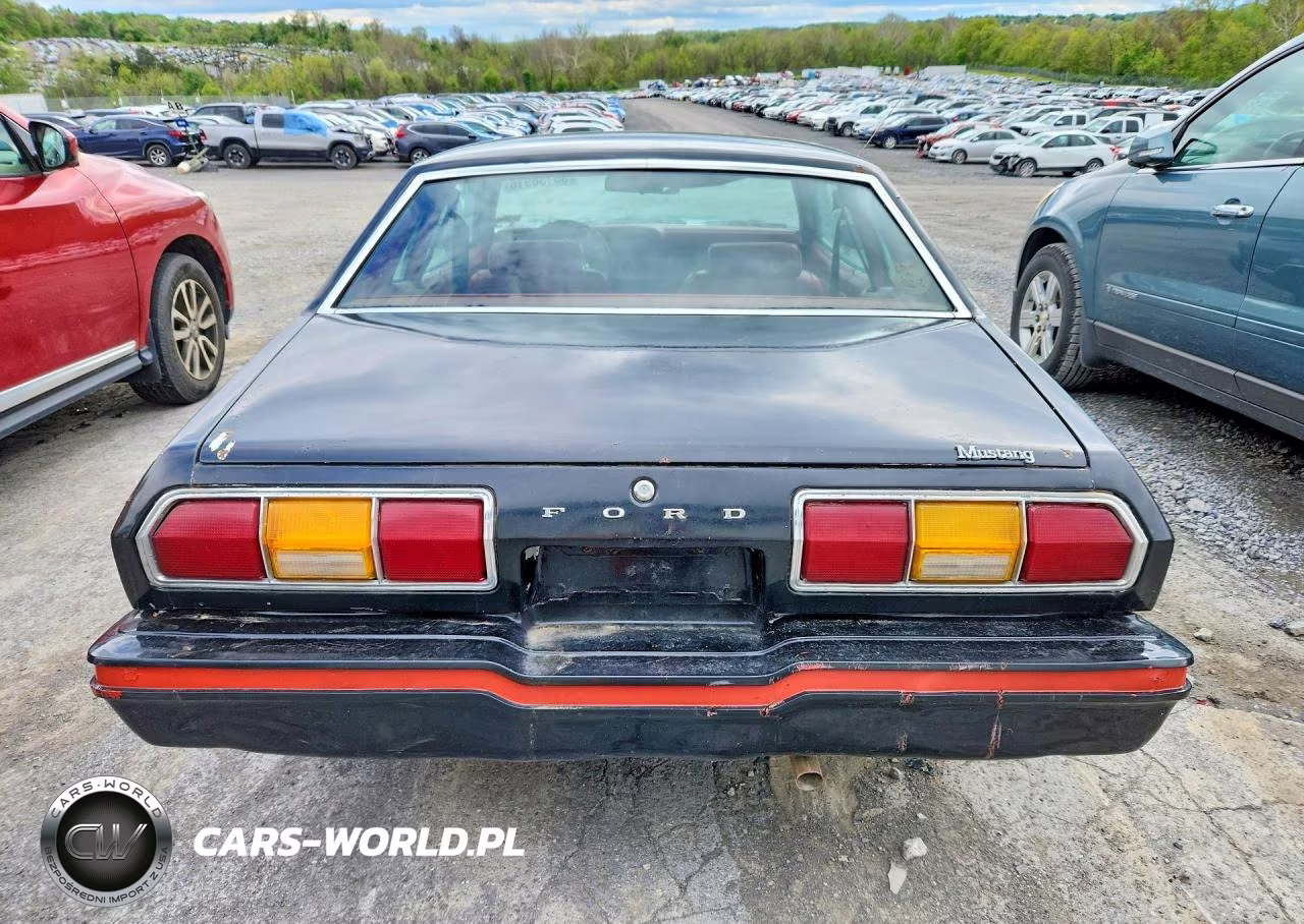 1978 Ford Mustang VIN:8F02Y260164 - 6