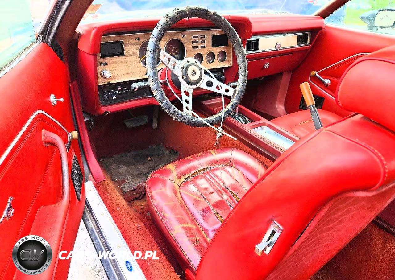 1978 Ford Mustang VIN:8F02Y260164 - 8