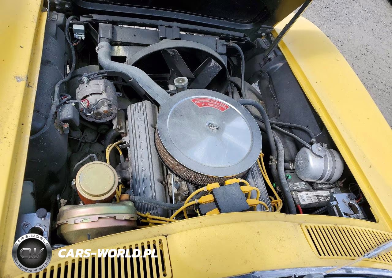 1966 Chevrolet Corvette VIN:194376S103344 - 11
