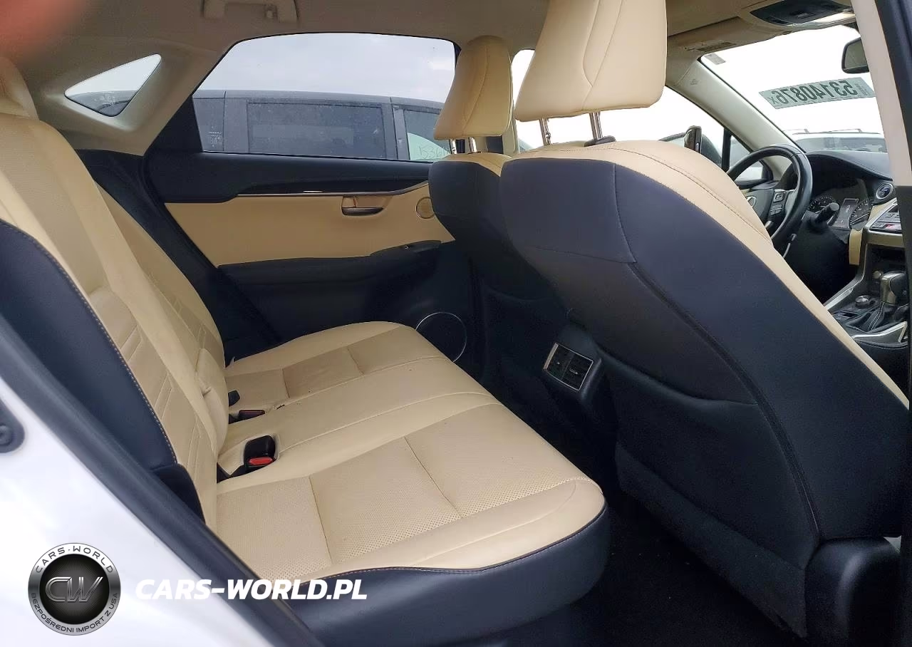 2020 Lexus Nx 300H Luxury VIN:JTJHJRDZ6L5009920 - 10