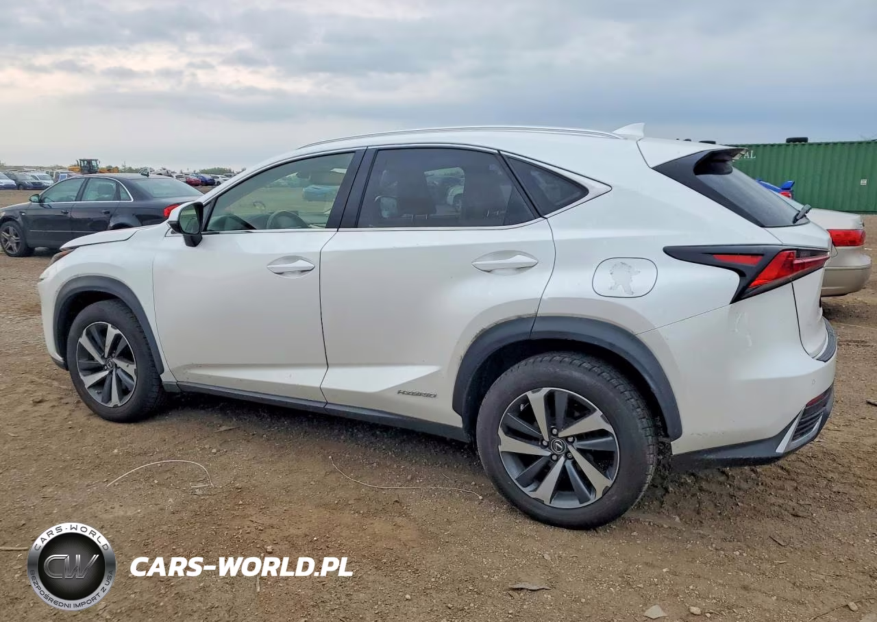 2020 Lexus Nx 300H Luxury VIN:JTJHJRDZ6L5009920 - 2