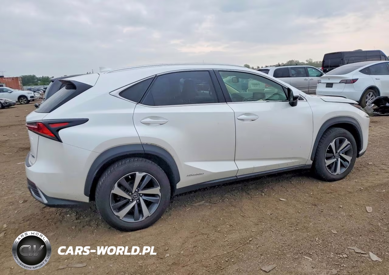2020 Lexus Nx 300H Luxury VIN:JTJHJRDZ6L5009920 - 3