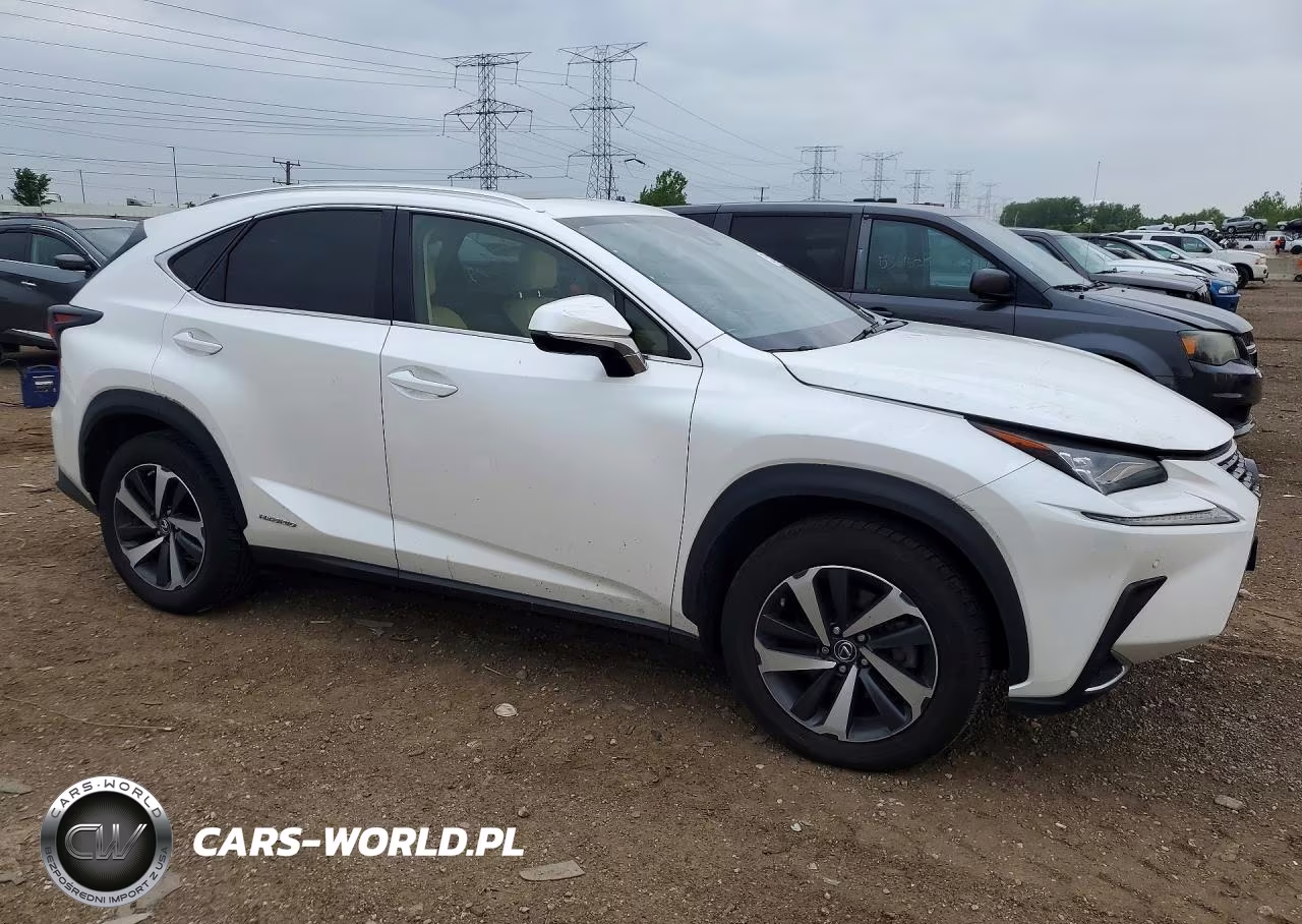 2020 Lexus Nx 300H Luxury VIN:JTJHJRDZ6L5009920 - 4