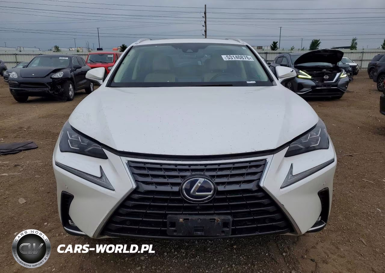 2020 Lexus Nx 300H Luxury VIN:JTJHJRDZ6L5009920 - 5