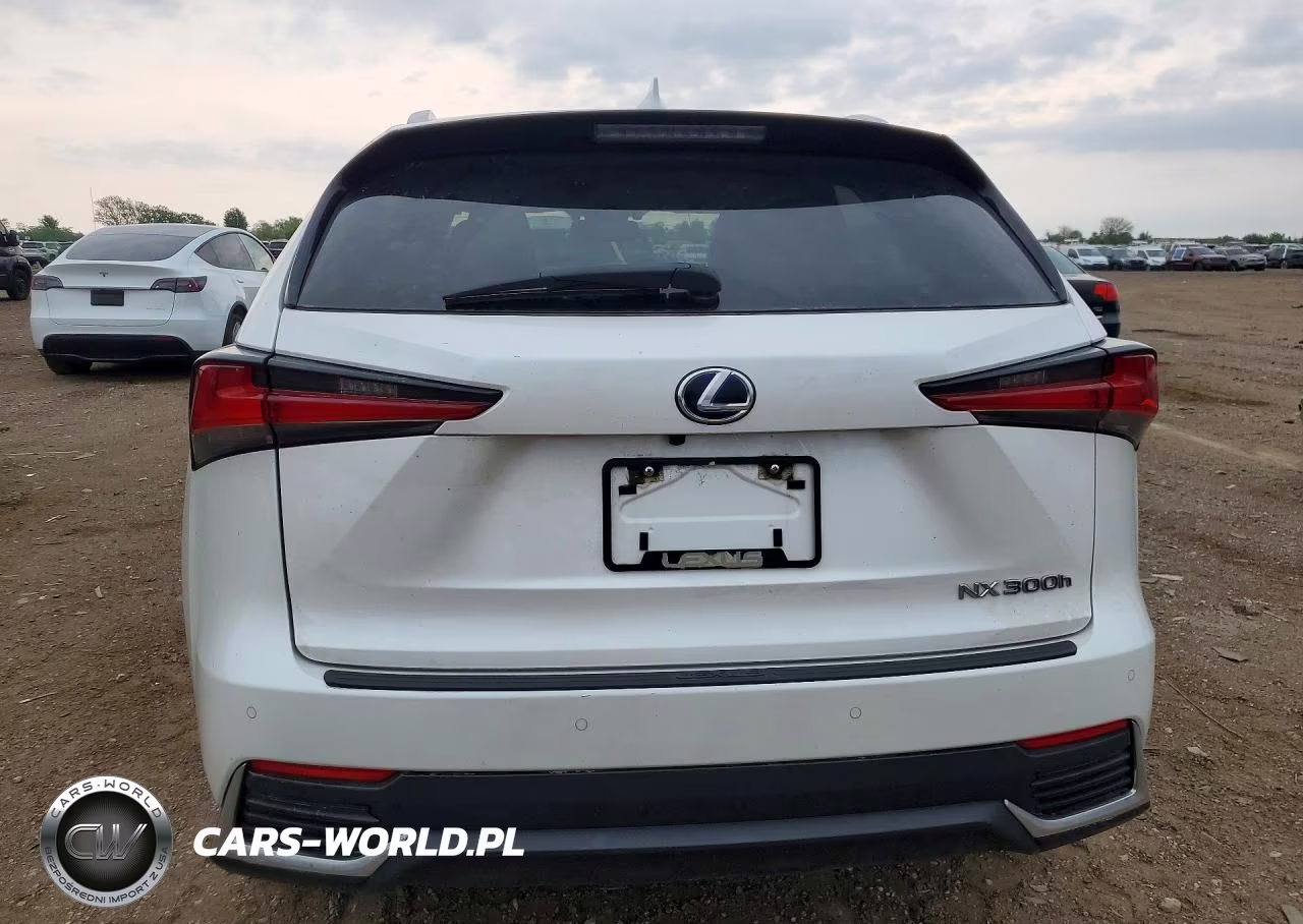 2020 Lexus Nx 300H Luxury VIN:JTJHJRDZ6L5009920 - 6